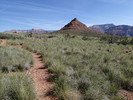 photo thumbnail #4
