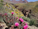 photo thumbnail #12