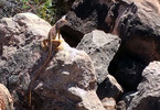 photo thumbnail #14