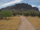 photo thumbnail #10
