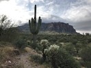 photo thumbnail #3