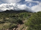 photo thumbnail #12