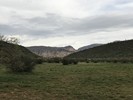 photo thumbnail #12