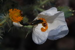 photo thumbnail #11