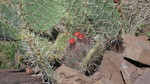 photo thumbnail #9