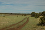 photo thumbnail #5