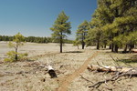 photo thumbnail #12