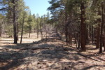 photo thumbnail #13