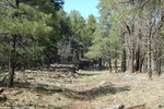 photo thumbnail #14