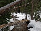 photo thumbnail #9