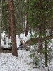 photo thumbnail #13
