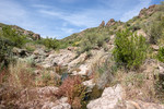 photo thumbnail #2