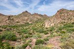 photo thumbnail #4