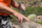 photo thumbnail #6