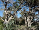 photo thumbnail #14