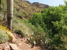 photo thumbnail #6