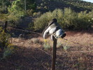 photo thumbnail #2