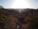 photo thumbnail #1