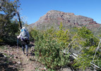 photo thumbnail #3