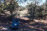 photo thumbnail #12