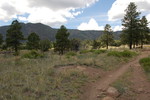 photo thumbnail #2