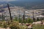 photo thumbnail #8