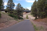 photo thumbnail #5
