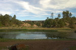 photo thumbnail #6
