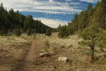 photo thumbnail #8