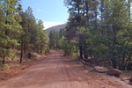 photo thumbnail #3