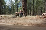 photo thumbnail #9
