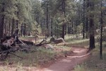 photo thumbnail #12