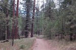 photo thumbnail #14