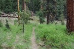 photo thumbnail #11