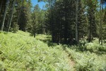photo thumbnail #8