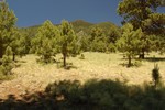 photo thumbnail #15