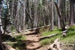 photo thumbnail #3
