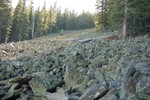 photo thumbnail #5