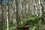 photo thumbnail #3