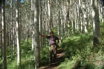 photo thumbnail #4