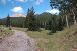photo thumbnail #8