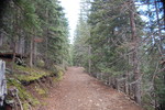 photo thumbnail #7