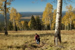 photo thumbnail #4