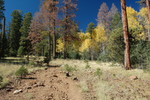 photo thumbnail #4