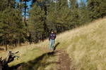 photo thumbnail #3