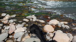 photo thumbnail #13