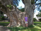 photo thumbnail #3