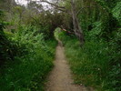 photo thumbnail #10