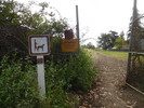 photo thumbnail #12
