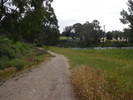 photo thumbnail #13